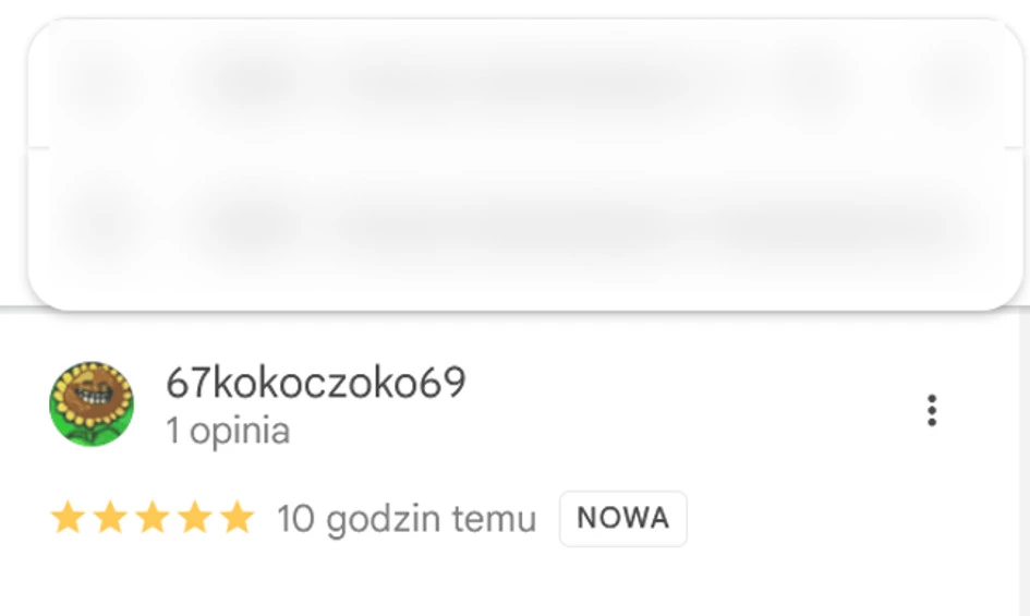 analiza ocen google